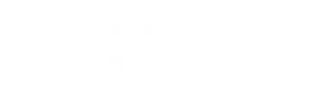 IT, AI, and App Development experts | Venturous Technology